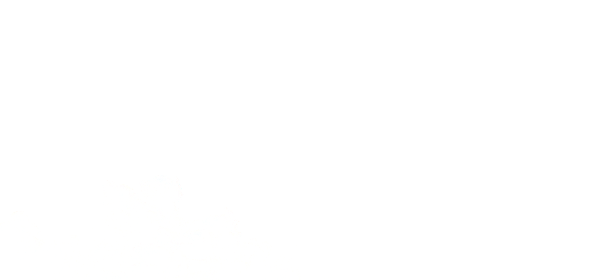 6t(6TSPORTS)Źɷݹ˾