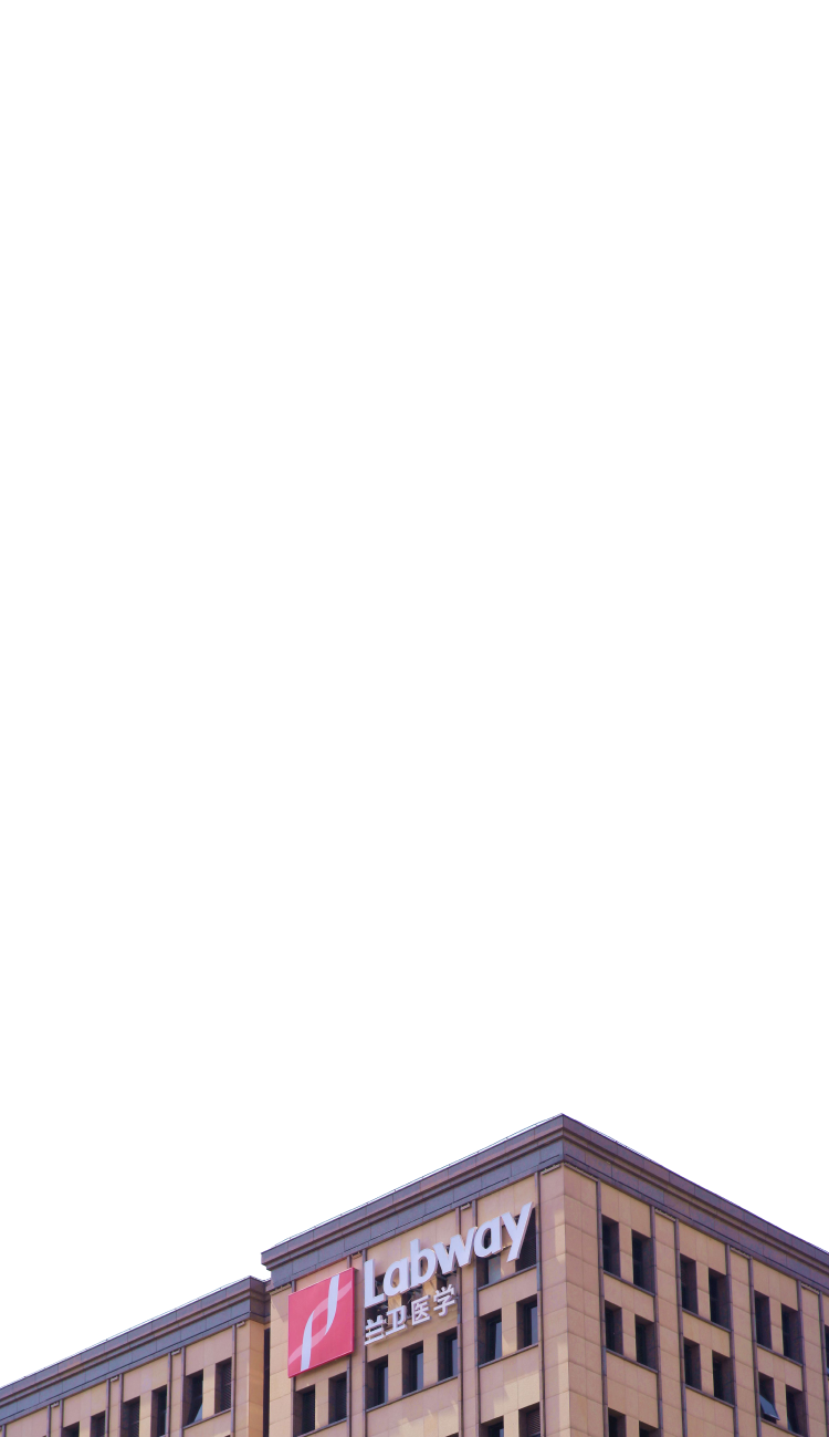 6t(6TSPORTS)Źɷݹ˾