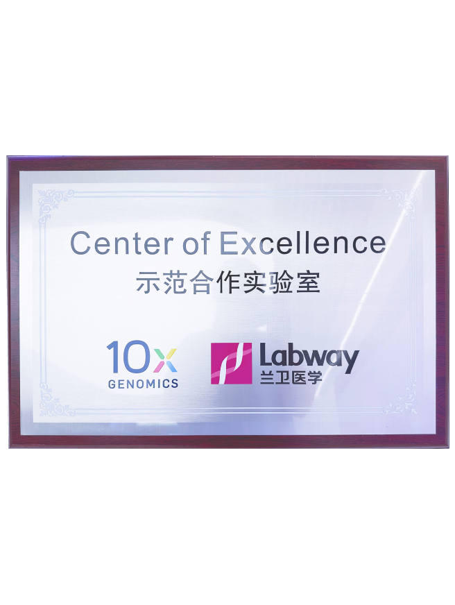 03 6t10Xģʵ.png